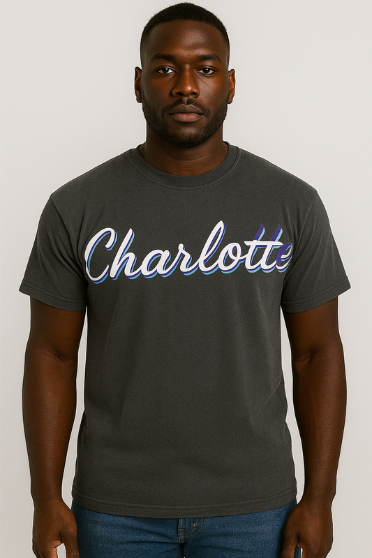 Charlotte City View Tee